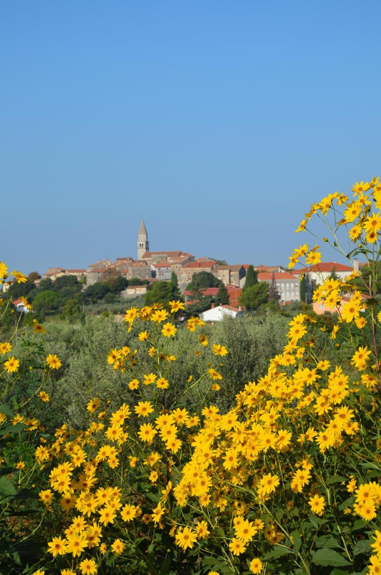 Villa Leopoldo By Istrian Country Houses Barat  Ngoại thất bức ảnh