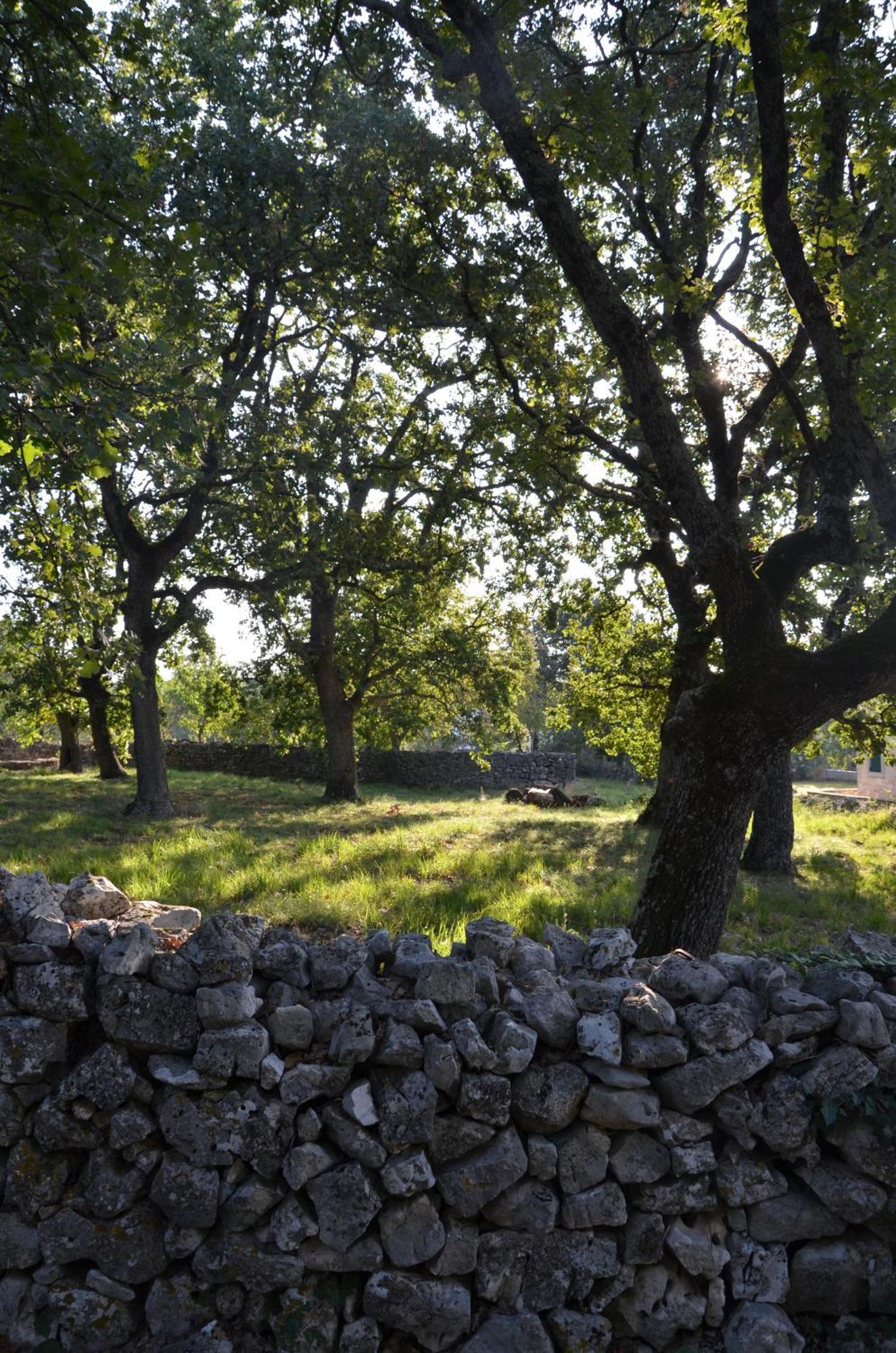 Villa Leopoldo By Istrian Country Houses Barat  Ngoại thất bức ảnh
